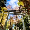 荻窪駅 : 『荻窪八幡神社』で初めての『祓門』くぐり