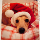 ぺろのなるほどブログ