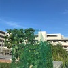 久しぶりのキュウリ収穫