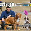 VLOG ディスクドッグ大会 K9DJ Day2 ピコ決勝進出なるか！？＠宇陀 Mar01.2020 Life with Dogs