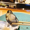 【石川】牡蠣の旨みを堪能♪かき料理フルコースで大満足✨かき浜