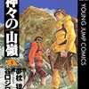 孤独な魂、果て無き旅―—映画『神々の山嶺』感想