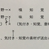現代社会人のための禅修行階梯　第一部（15）感覚の領域に止まっていて気付き・知覚、想起などの領域に入らないという場合