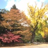 京都　護王神社　参拝