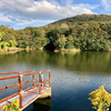 呑谷池（兵庫県神戸）