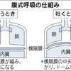 腹式呼吸法で心も体も健康に