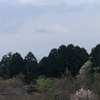 今朝の景色