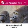 子連れロサンゼルス①♥︎LA ZOO（ロサンゼルス動物園）♥︎
