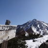 忘備録　5月のお山　甲斐駒ケ岳・立山・山菜山行