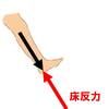   【基礎から学ぶ】歩行（床反力）【運動学】