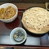 そば処はるな（文京区本郷）のもりそばとミニかき揚げ丼