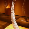 スミソニアン博物館群内　国立アフリカ美術館