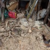 斧で薪割り　夢が叶った瞬間　Splitting wood with an ax