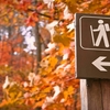 Safety Tips for Your Next Hiking Trip