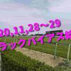 2020,11,28～29 トラックバイアス結果 (東京競馬場、阪神競馬場)