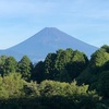 今朝の景色