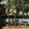 葛井神社と清池。