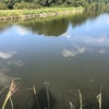 今週の釣果報告②🎣茨城県土浦市某池