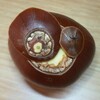 栗をいただいてきた。