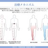 慢性難治性疼痛に対する脊髄刺激療法を科学する１１