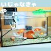日常を見直すキッカケは定期的に訪れる