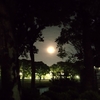 都営城北中央公園　からの　月　が幻想的だった！