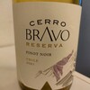  Cerro Bravo Pinot Noir Reserva セロ・ブラヴォ ピノ・ノワール 2021 チリ