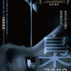 韓国作品「梟　フクロウ」（2022）奇怪な殺人時代劇！盲目だから見えるものがある！ 