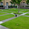 勝俣部長の「ため息」２６４６回････まさか