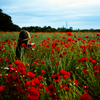 オーストラリアの祝日！ANZAC Dayのアンザックって一体誰？