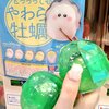 回してよかったガチャガチャ“とっっってもやわら牡蠣”