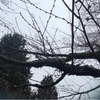 不一致がもたらすもの