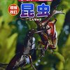 感想：NHK番組「香川照之の昆虫すごいぜ！　一挙アンコール」