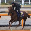 １５日に美浦・堀厩舎へ帰厩しています。☆サリオス