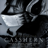 映画レビュー『CASSHERN』キャシャーンがやらねばならなかったのか