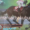 サラブレッドカード95 039 第46回毎日王冠 スガノオージ