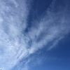 秋の空 には…！！