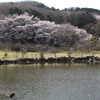 2022.4.2　つがの里〜東雲公園