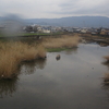 我がふるさとの山田川