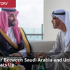 サウジアラビアとアラブ首長国連邦間の冷戦が激化⚡️　スティーブン・サヒウニー