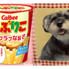 ＃夢で久しぶりに逢ったラブは・・・。