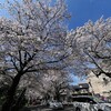 【陸撮】桜＠東京