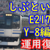 しぶといE217系Y-8編成が運用に復帰しています！まもなく引退?【同時期は1年前に消滅】