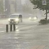 台風の影響