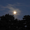 朧月の家路。