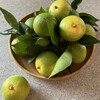 パン屋さんに寄って