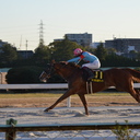 【競馬予想】大学生の独り言