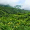 鳥海山ー残雪と花の季節ー