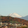 高崎街中散歩　雪化粧した浅間山・高崎駅のだるま・今朝は3℃