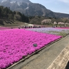 一泊二日変な旅行